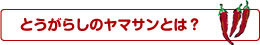 ヤマサンとは